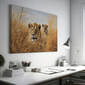 Framed canvas print of two lions in golden savannah grass