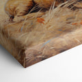 Framed canvas print of a realistic lion lying in the grass of the African savanna, with warm golden tones