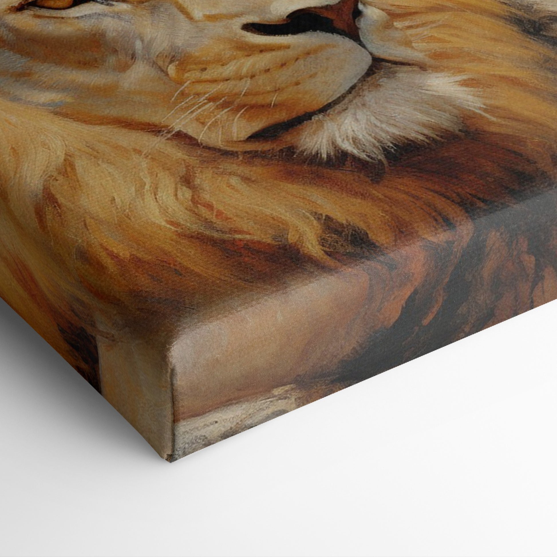 Framed canvas print of a realistic African lion resting, with warm colour tones and detailed texture