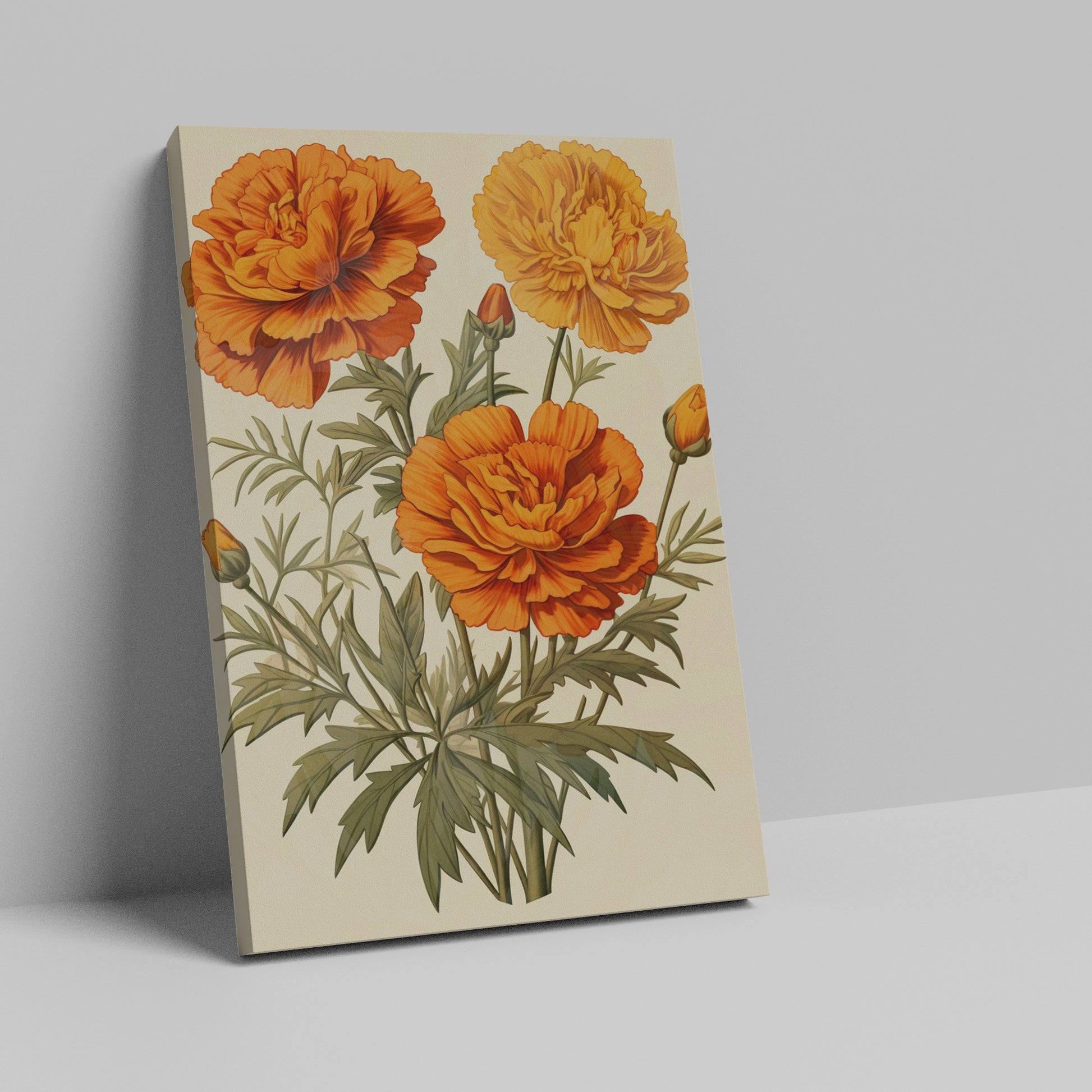 Framed canvas print of vintage illustrated marigold flowers in warm orange tones