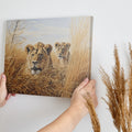 Framed canvas print of two lions in golden savannah grass