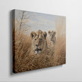 Framed canvas print of two lions in golden savannah grass