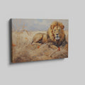 Framed canvas print of a realistic lion lying in the grass of the African savanna, with warm golden tones