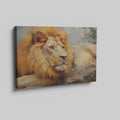 Framed canvas print of a realistic African lion resting, with warm colour tones and detailed texture