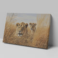 Framed canvas print of two lions in golden savannah grass