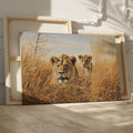 Framed canvas print of two lions in golden savannah grass