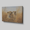 Framed canvas print of two lions in golden savannah grass